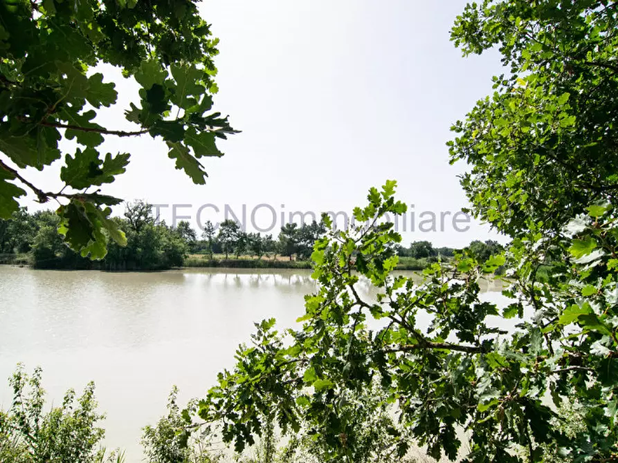 Immagine 13 di Terreno in vendita  in bortoni a Castiglione Del Lago