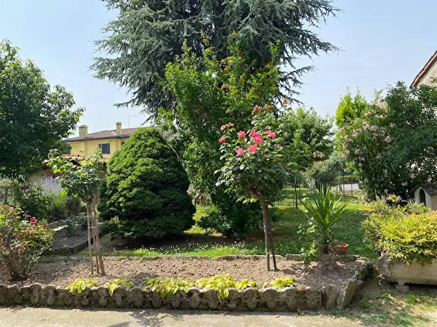 Immagine 6 di Villetta a schiera in vendita  in via villa a Campolongo Maggiore
