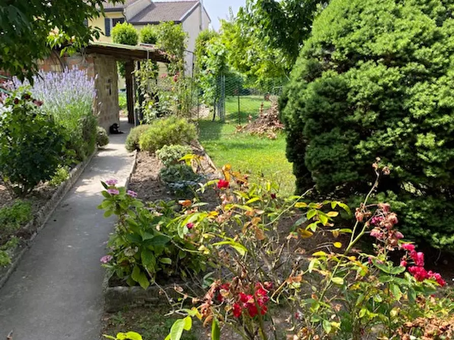 Immagine 7 di Villetta a schiera in vendita  in via villa a Campolongo Maggiore