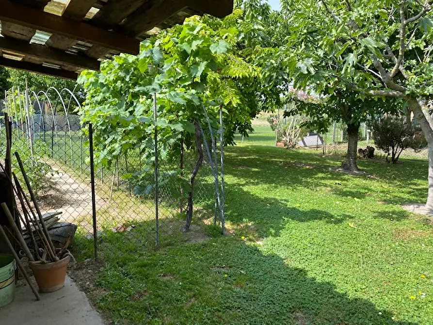 Immagine 8 di Villetta a schiera in vendita  in via villa a Campolongo Maggiore