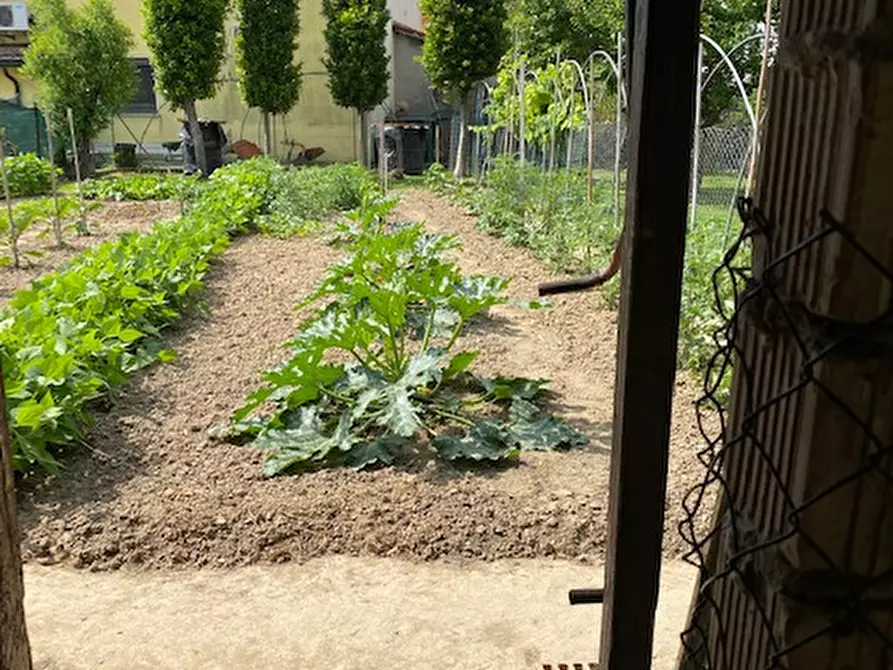 Immagine 9 di Villetta a schiera in vendita  in via villa a Campolongo Maggiore