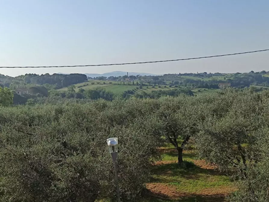 Immagine 14 di Laboratorio in vendita  a Castiglione Del Lago