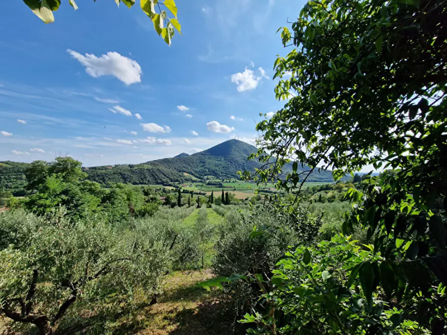 Immagine 1 di Casa indipendente in vendita  in via tormene a Baone