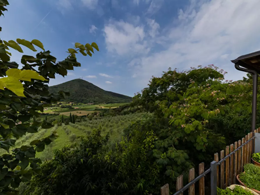 Immagine 26 di Casa indipendente in vendita  in via tormene a Baone
