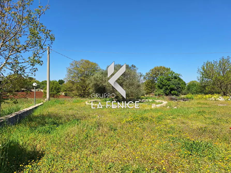 Immagine 12 di Rustico / casale in vendita  in contrada Muso Rosso a Locorotondo