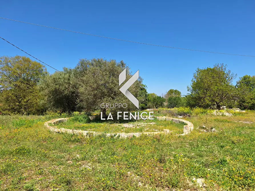 Immagine 14 di Rustico / casale in vendita  in contrada Muso Rosso a Locorotondo