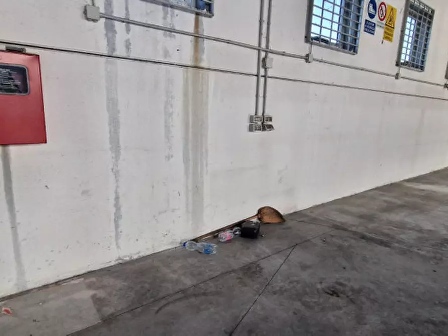 Immagine 5 di Capannone industriale in affitto  a Marcon