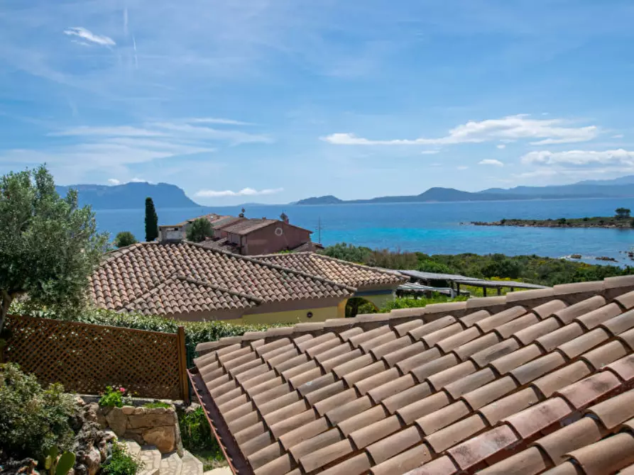 Immagine 29 di Villetta a schiera in vendita  a Golfo Aranci