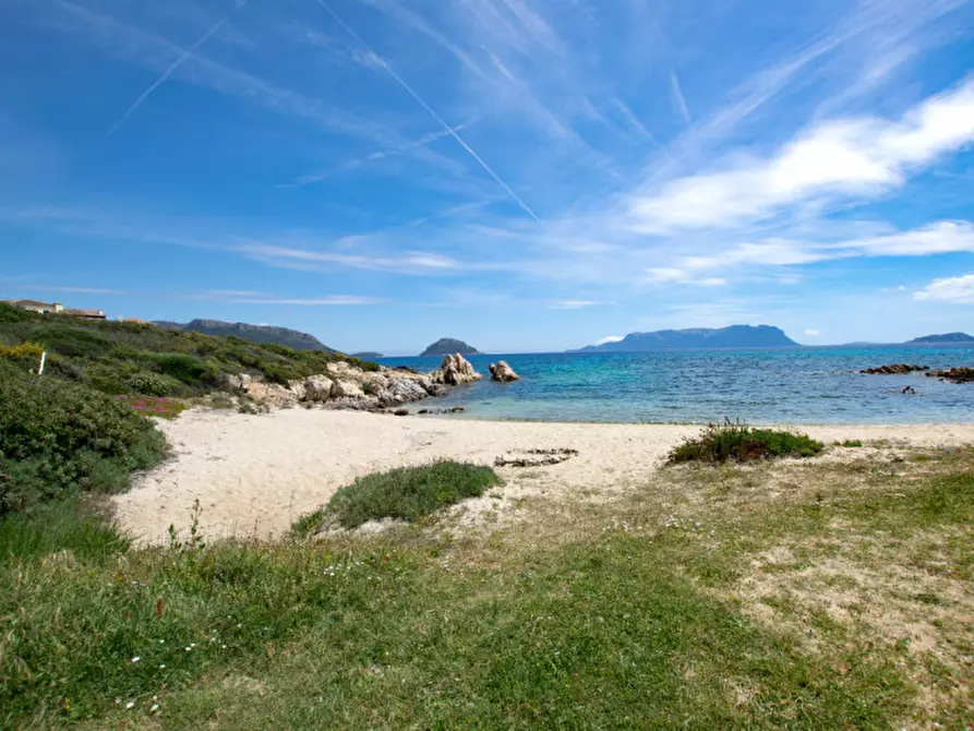 Immagine 34 di Villetta a schiera in vendita  a Golfo Aranci