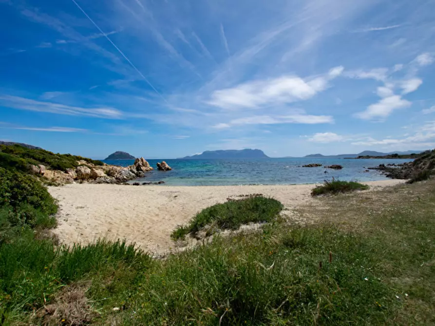 Immagine 35 di Villetta a schiera in vendita  a Golfo Aranci