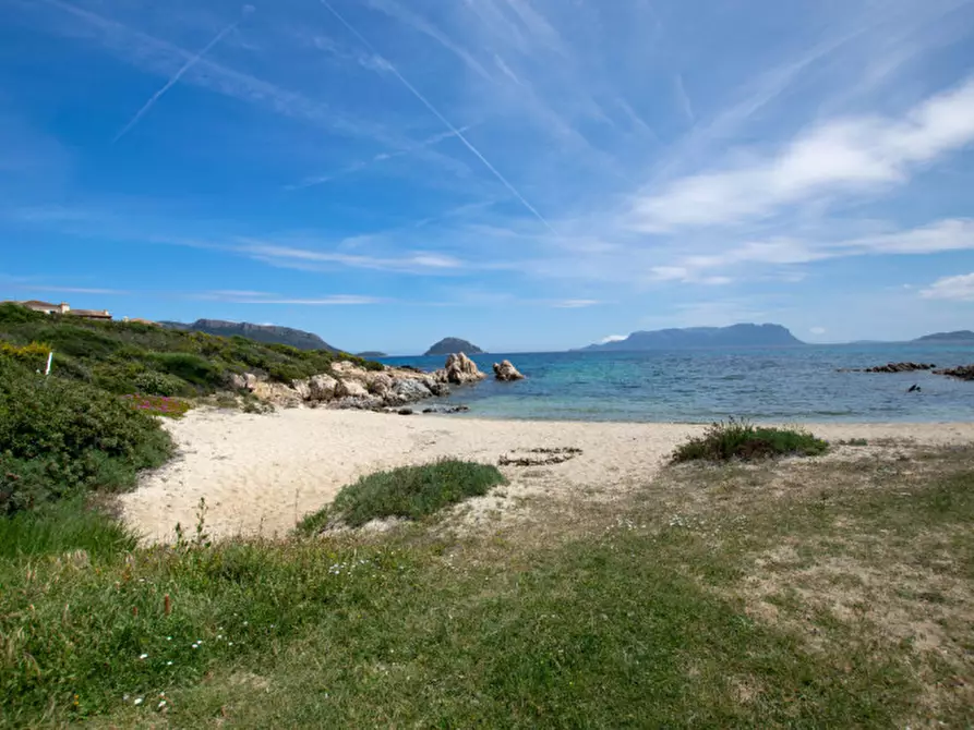 Immagine 36 di Villetta a schiera in vendita  a Golfo Aranci