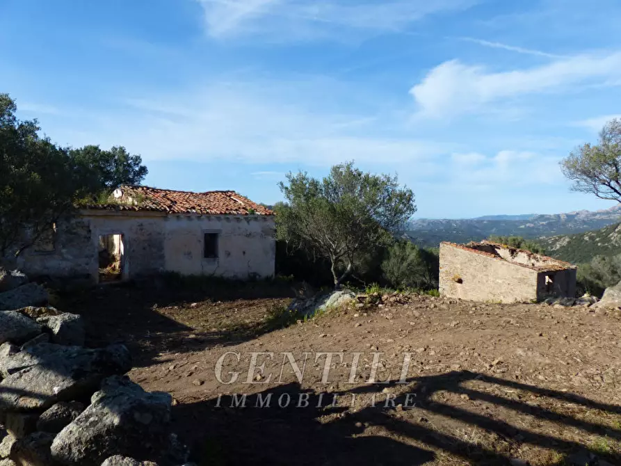 Immagine 1 di Rustico / casale in vendita  in Mudizza Piana a Olbia