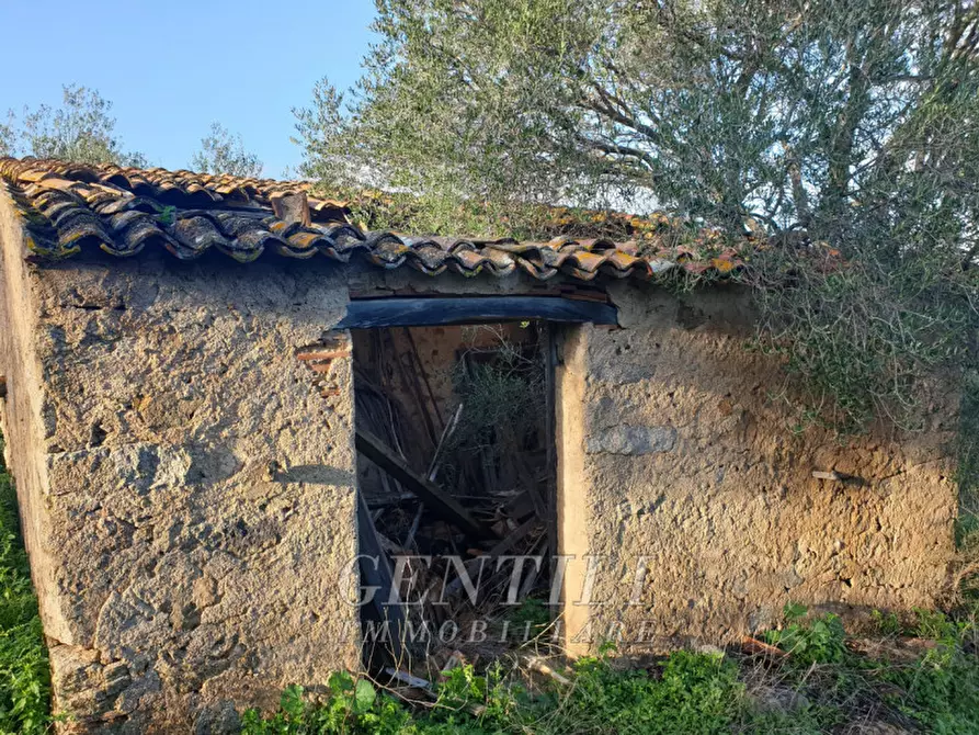 Immagine 3 di Rustico / casale in vendita  in Mudizza Piana a Olbia