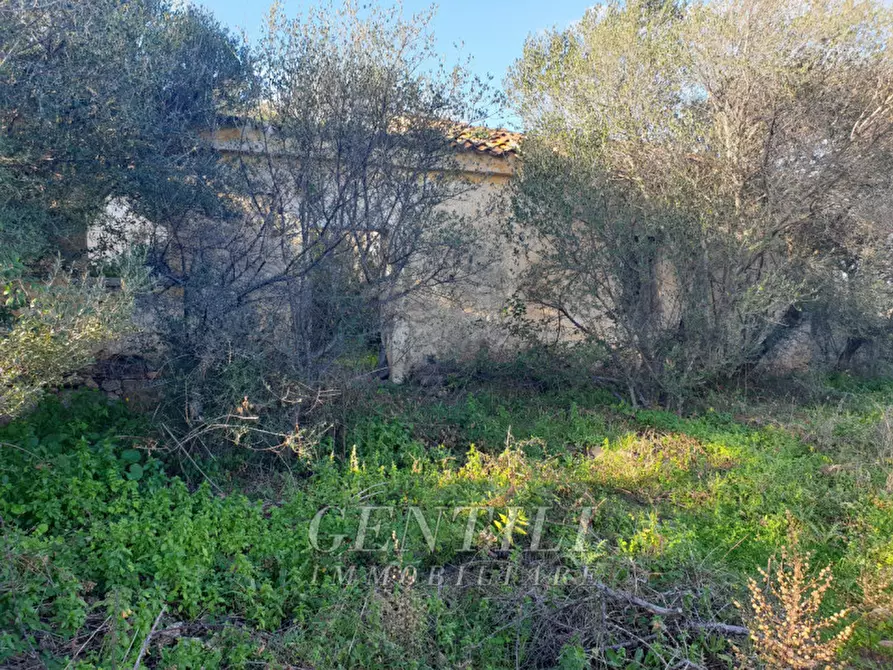 Immagine 4 di Rustico / casale in vendita  in Mudizza Piana a Olbia