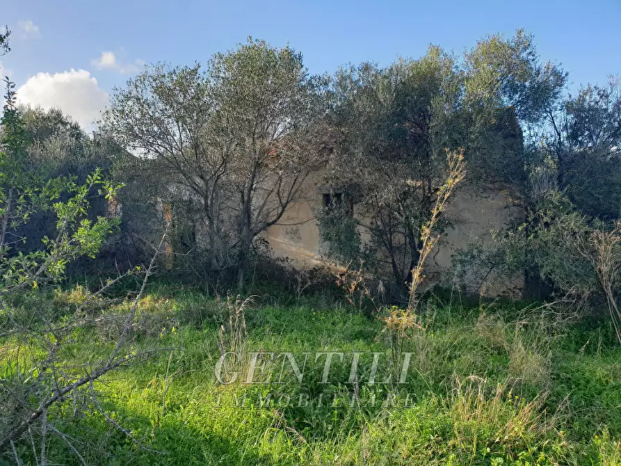 Immagine 6 di Rustico / casale in vendita  in Mudizza Piana a Olbia