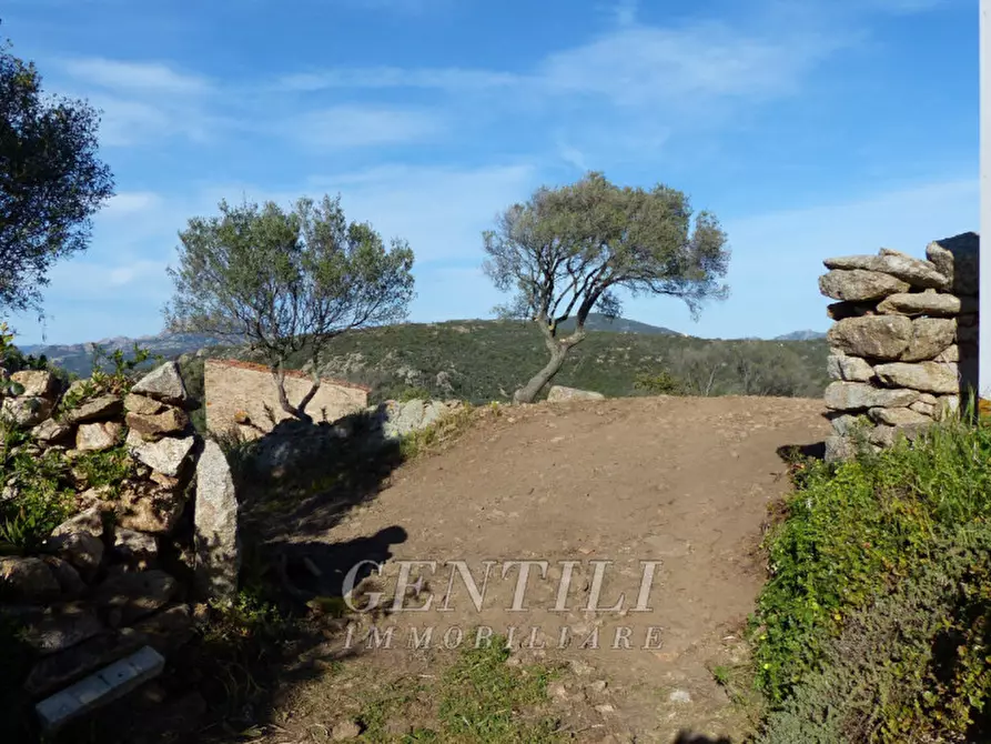 Immagine 7 di Rustico / casale in vendita  in Mudizza Piana a Olbia