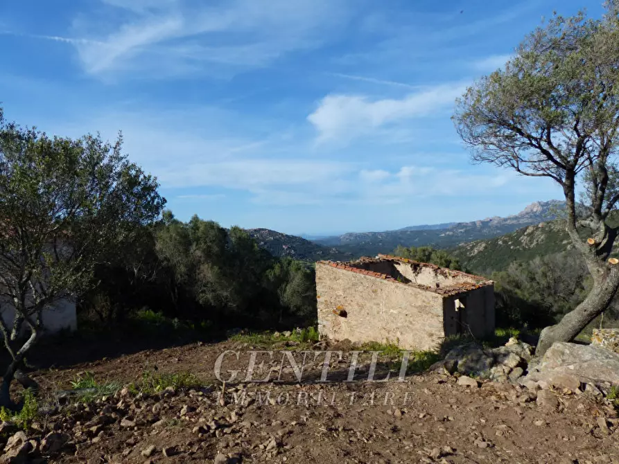 Immagine 8 di Rustico / casale in vendita  in Mudizza Piana a Olbia