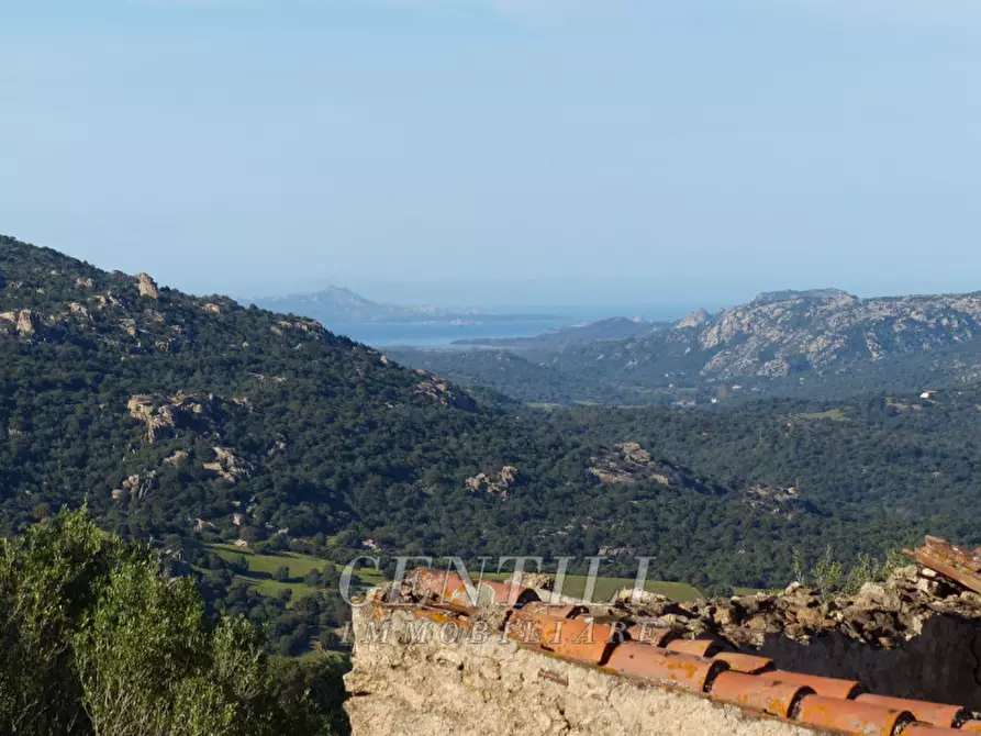 Immagine 9 di Rustico / casale in vendita  in Mudizza Piana a Olbia