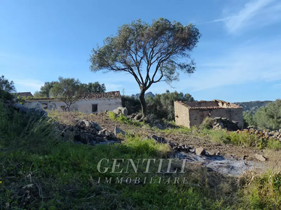 Immagine 10 di Rustico / casale in vendita  in Mudizza Piana a Olbia