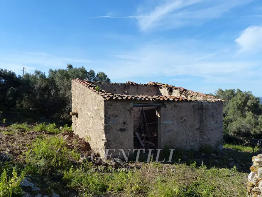 Immagine 12 di Rustico / casale in vendita  in Mudizza Piana a Olbia