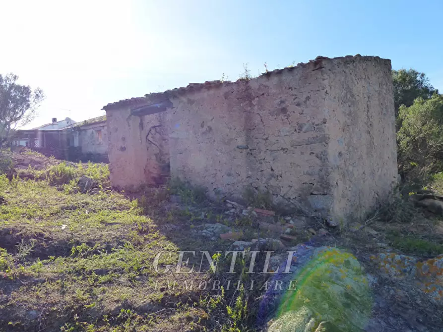 Immagine 14 di Rustico / casale in vendita  in Mudizza Piana a Olbia