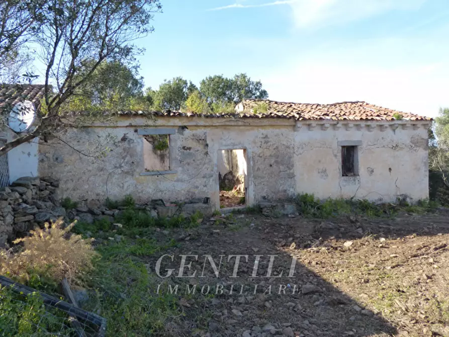 Immagine 15 di Rustico / casale in vendita  in Mudizza Piana a Olbia