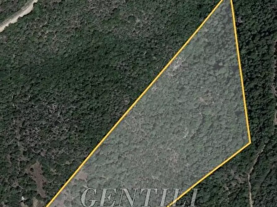 Immagine 17 di Rustico / casale in vendita  in Mudizza Piana a Olbia