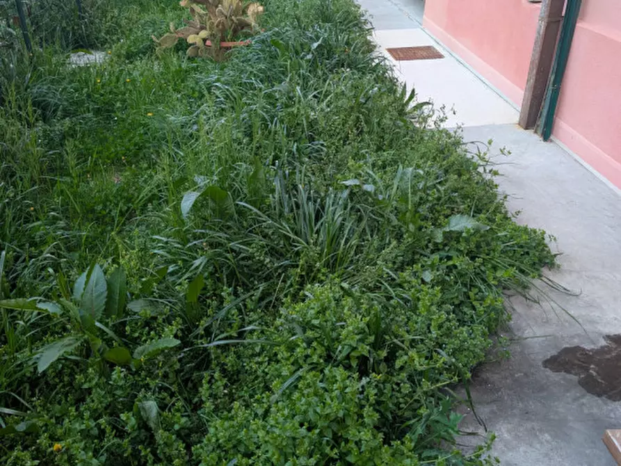 Immagine 19 di Appartamento in vendita  in Via carpene a Conegliano