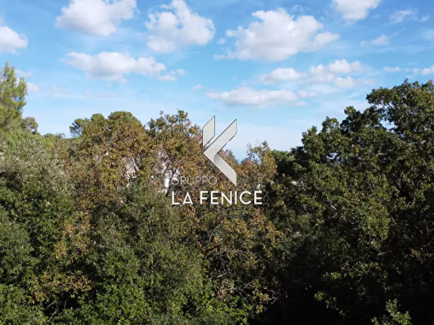 Immagine 10 di Villa in vendita  in viale Cardone a Fasano