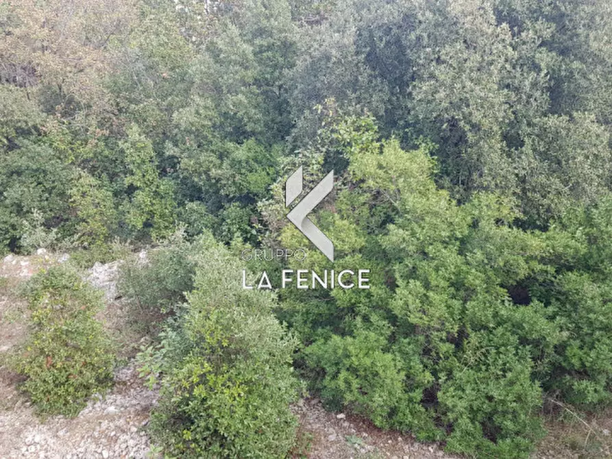 Immagine 27 di Villa in vendita  in viale Cardone a Fasano