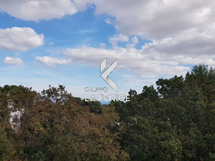 Immagine 36 di Villa in vendita  in viale Cardone a Fasano