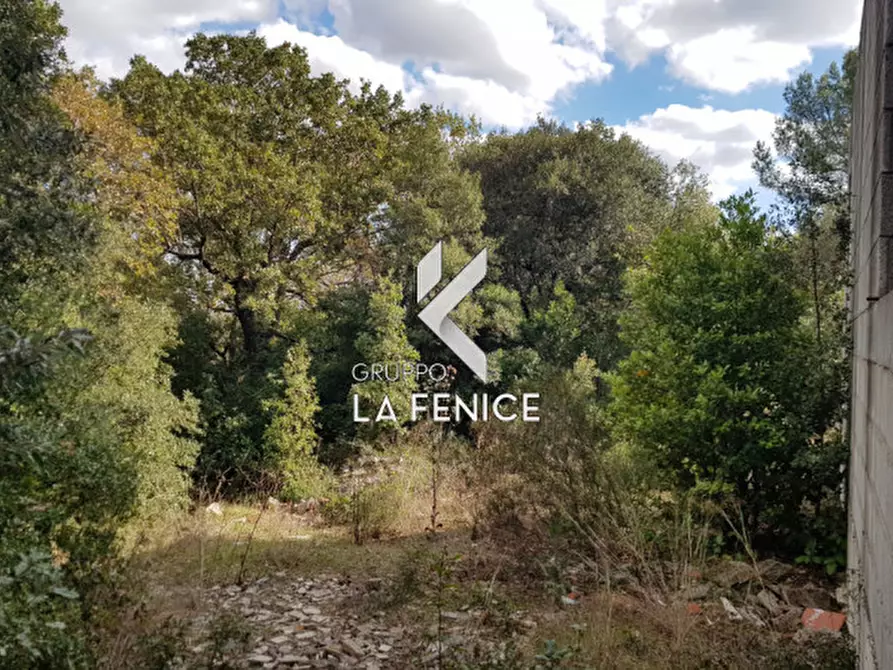 Immagine 39 di Villa in vendita  in viale Cardone a Fasano