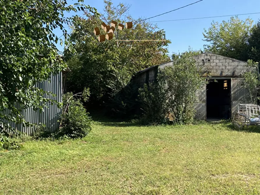 Immagine 2 di Rustico / casale in vendita  a Alonte