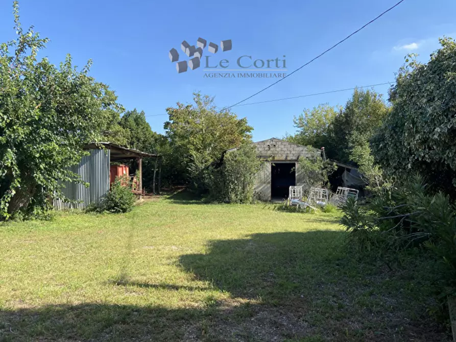 Immagine 3 di Rustico / casale in vendita  a Alonte