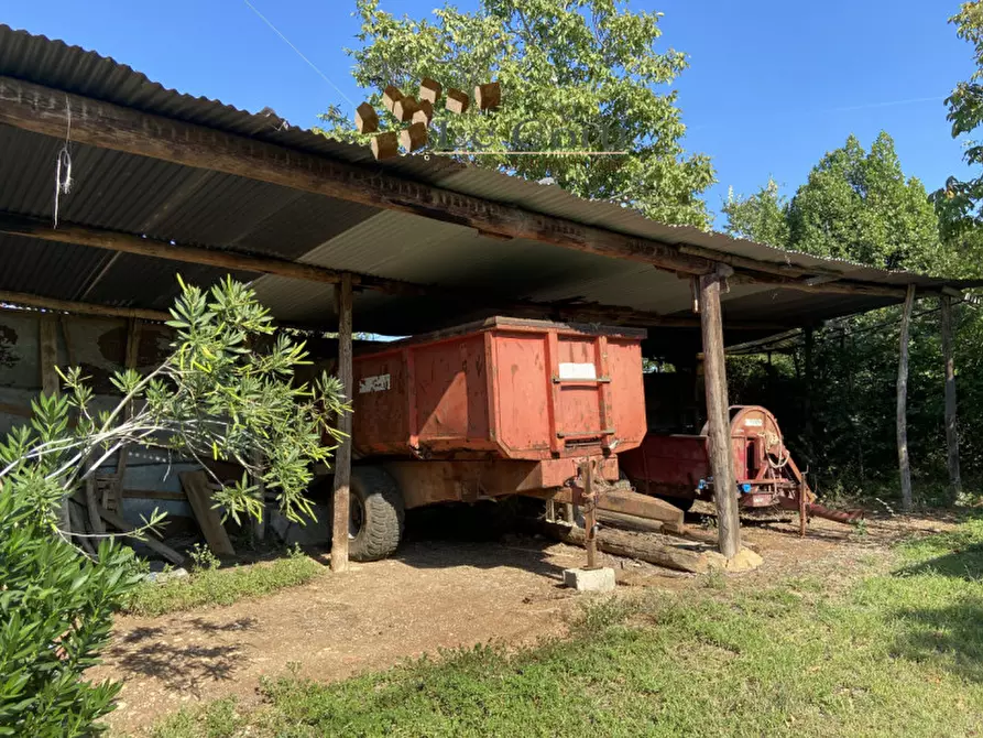 Immagine 4 di Rustico / casale in vendita  a Alonte