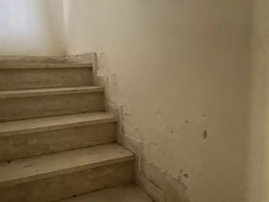 Immagine 6 di Rustico / casale in vendita  a Alonte