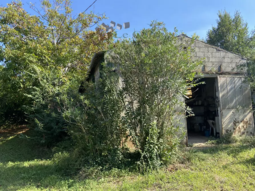 Immagine 6 di Rustico / casale in vendita  a Alonte