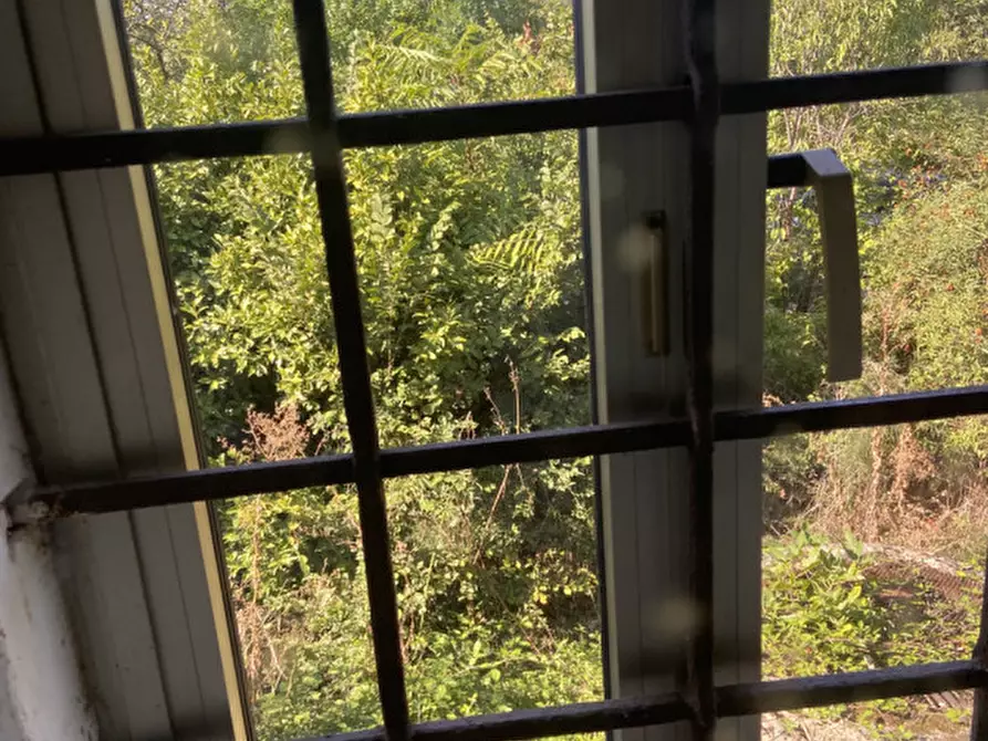 Immagine 10 di Rustico / casale in vendita  a Alonte