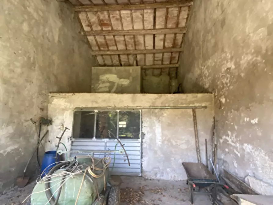 Immagine 10 di Rustico / casale in vendita  a Alonte