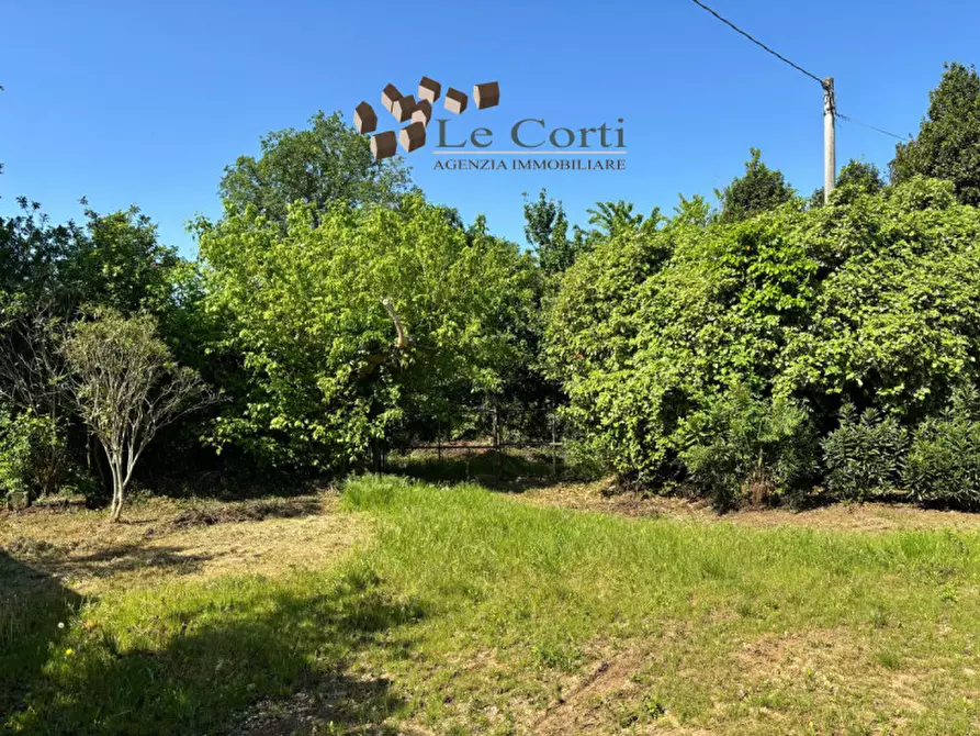 Immagine 10 di Rustico / casale in vendita  a Alonte