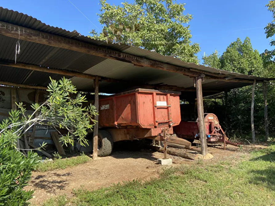 Immagine 11 di Rustico / casale in vendita  a Alonte