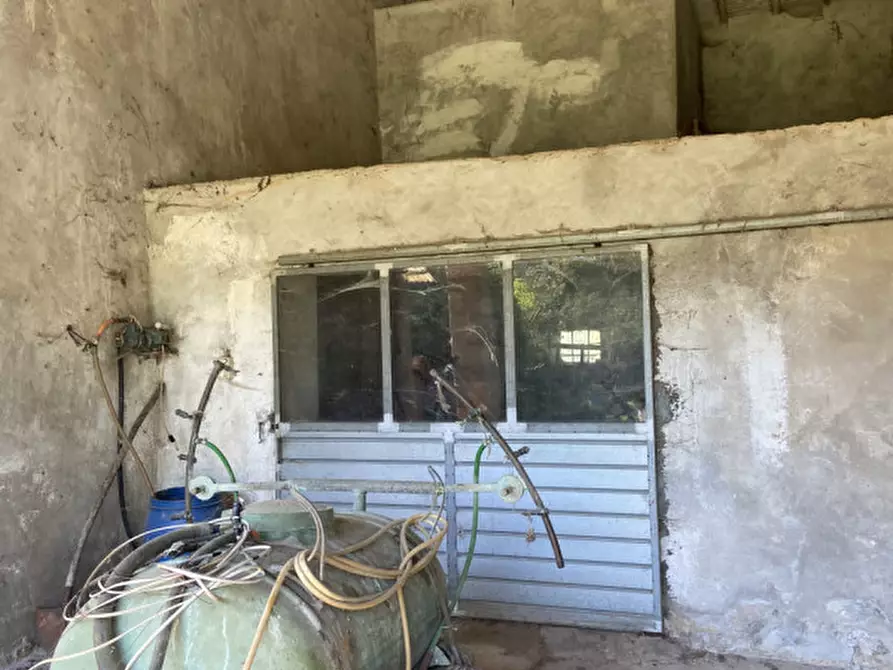 Immagine 14 di Rustico / casale in vendita  a Alonte