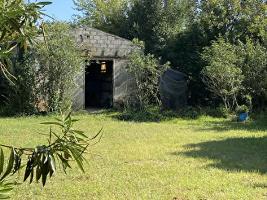 Immagine 16 di Rustico / casale in vendita  a Alonte