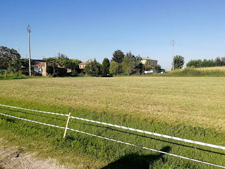 Immagine 2 di Terreno in vendita  a Rovigo