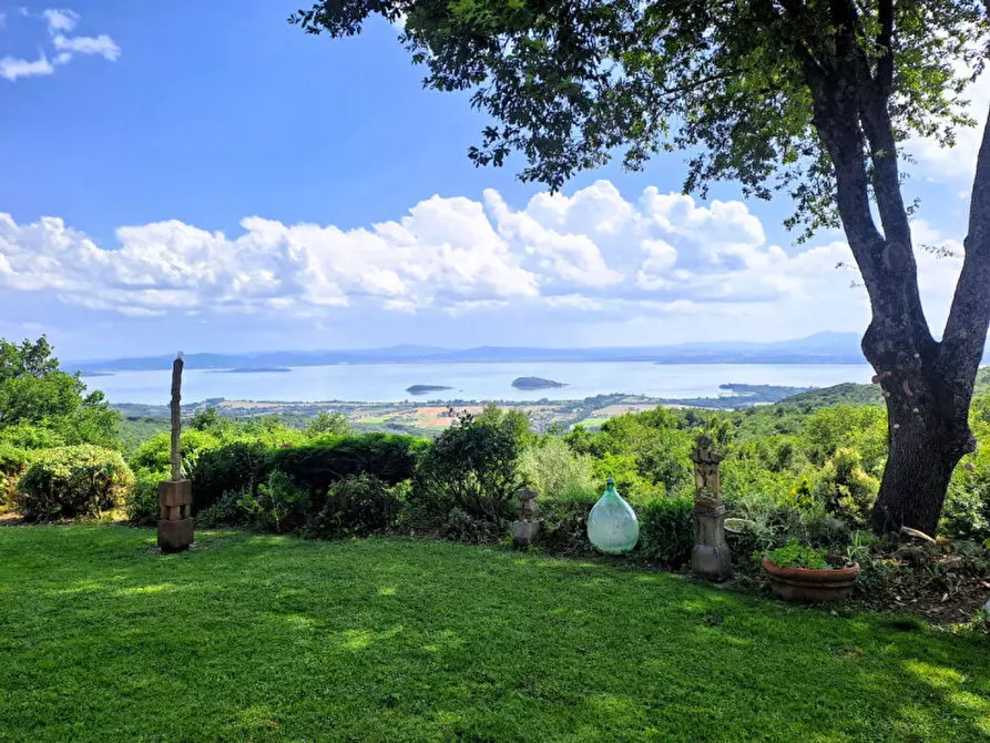 Immagine 5 di Rustico / casale in vendita  in Strada del Niccone a Tuoro Sul Trasimeno