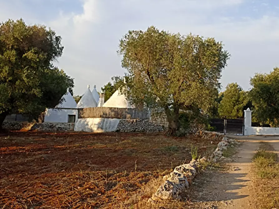 Immagine 3 di Rustico / casale in vendita  in MAKIOS a Ostuni