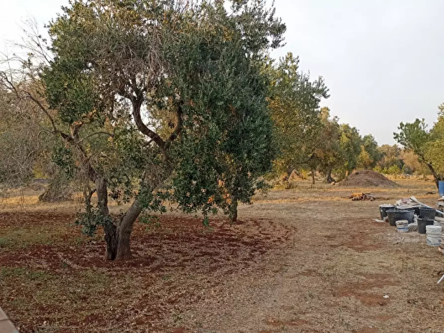 Immagine 41 di Rustico / casale in vendita  in MAKIOS a Ostuni