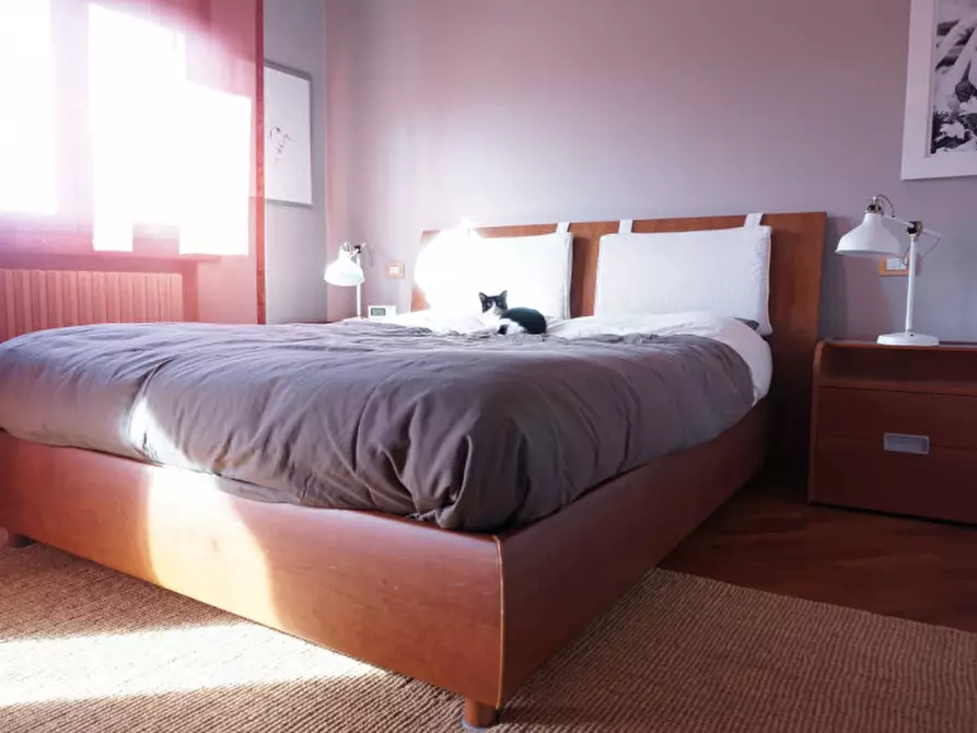 Immagine 21 di Appartamento in affitto  in Via Pertini 3 a Colorno