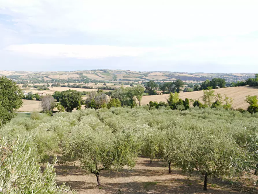 Immagine 27 di Casa indipendente in vendita  in STRADADA PROVINCIALE corinaldo a Corinaldo