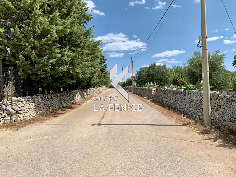Immagine 2 di Terreno in vendita  in c.da Rospano a Martina Franca